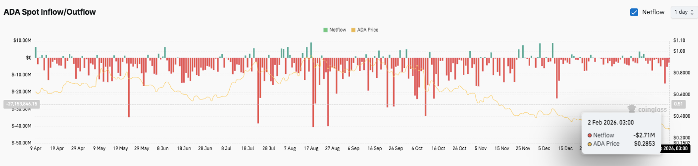 沪网赛,月中旬将揭,晓举办与否,易币付app,易币付官网下载,易币付app官网下载