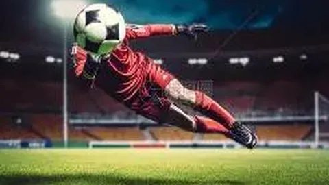 “NFL新赛季32队焦点球星：美联北区钢人——龙哥谢幕演出”