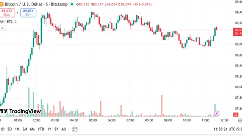沈梦辰与杜海涛喜结连理，爱情马拉松终成正果